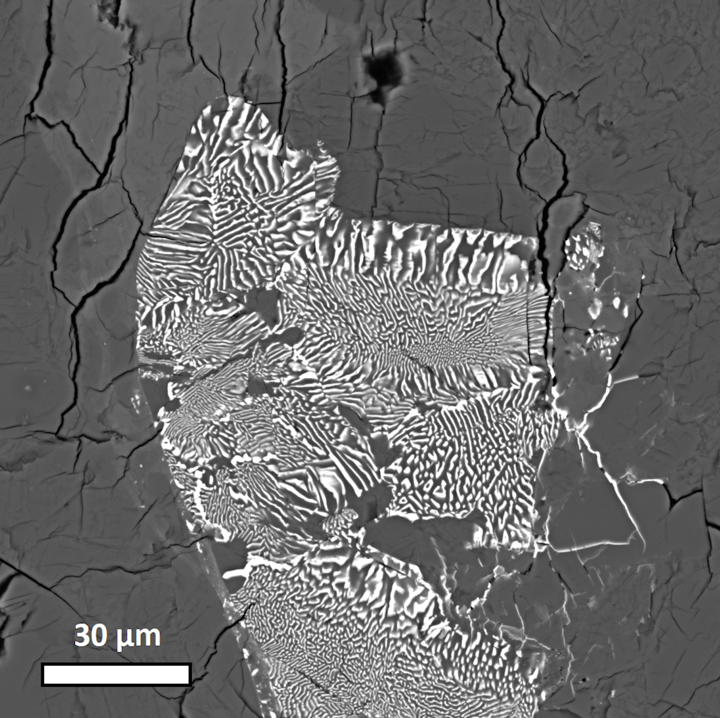 Image of symplectite found n the meteorite Northwest Africa 12217