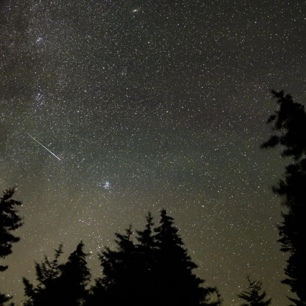 Perseid meteor shower hits its peak