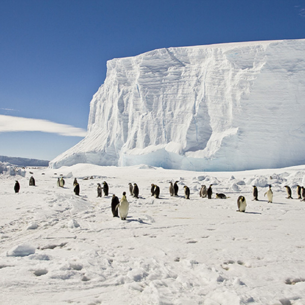 Geoscientists to study structure and properties of Antarctic lithosphere