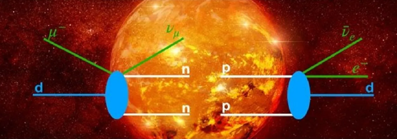 Exploring stellar hydrogen burning via muons and nuclei