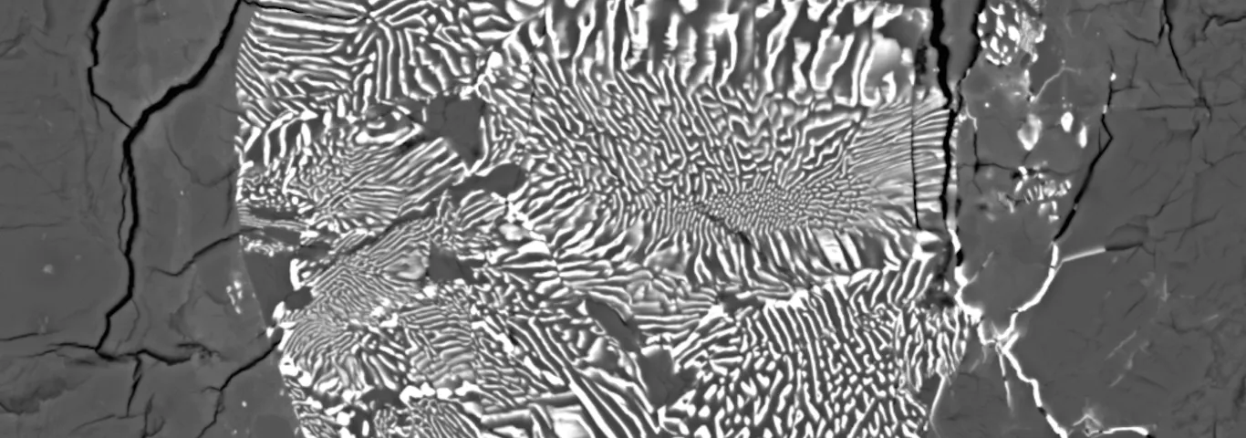 Unique samples or just super weird?