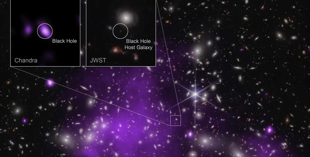 The most distant black hole ever detected in X-rays, a result that may explain how some of the first supermassive black holes in the universe formed. Credit: X-ray: NASA/CXC/SAO/Ákos Bogdán; Infrared: NASA/ESA/CSA/STScI; Image Processing: NASA/CXC/SAO/L. Frattare & K. Arcand