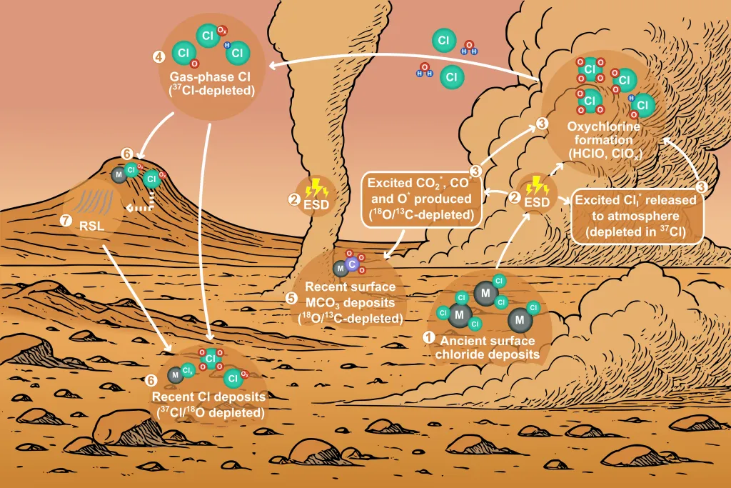 Martian geochemical chlorine cycle